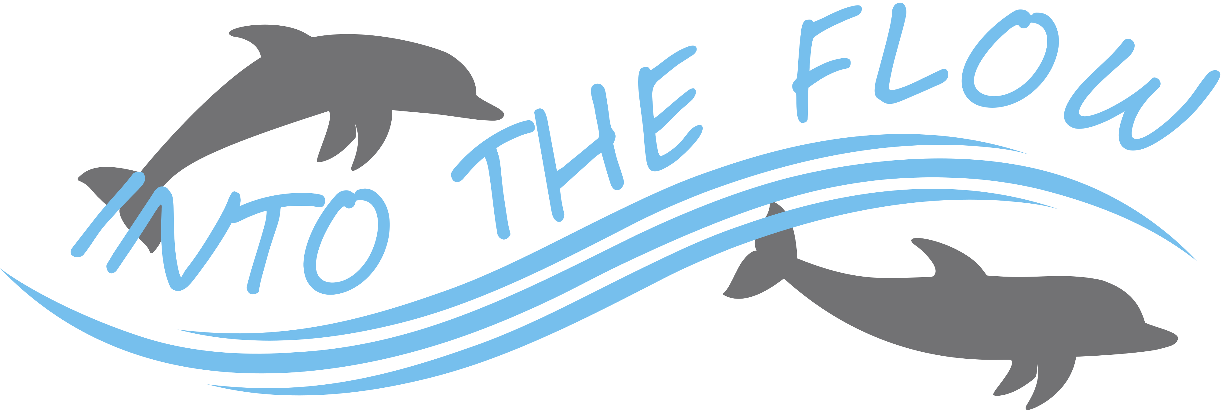 Into the Flow Logo